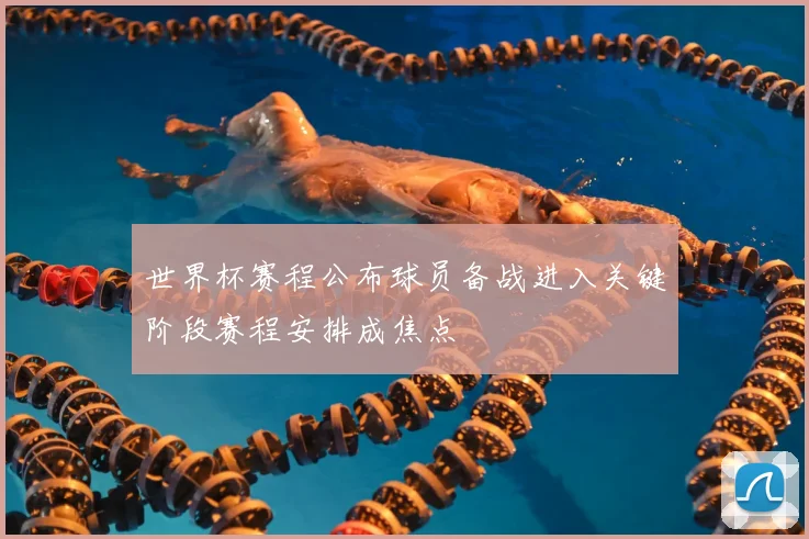 世界杯赛程公布球员备战进入关键阶段赛程安排成焦点