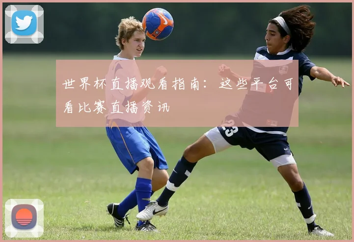 世界杯直播观看指南:这些平台可看比赛直播资讯